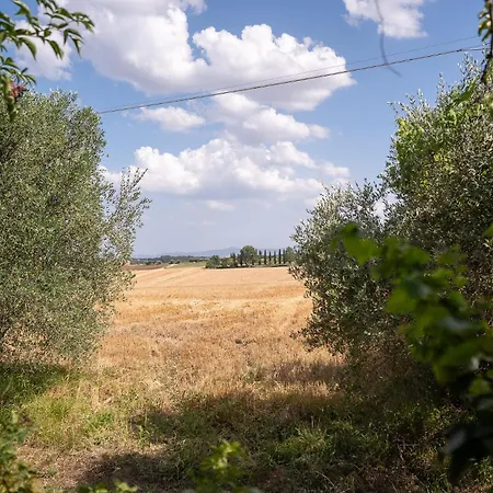 Fontarcella, Heart & Roots Holiday home Petrignano Del Lago