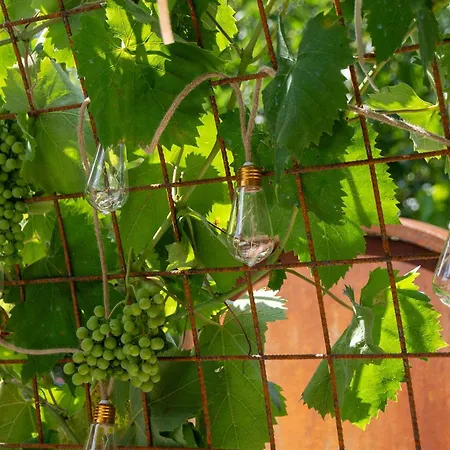 Holiday home Fontarcella, Heart & Roots *