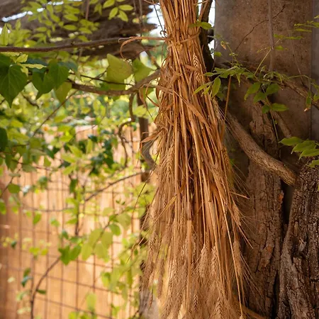 Fontarcella, Heart & Roots Holiday home *